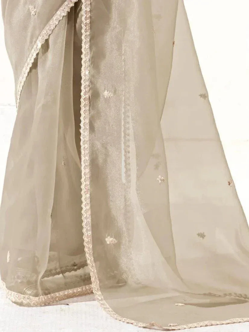 Beige sheer saree with delicate lace border and subtle floral embroidery, perfect for ethnic occasions