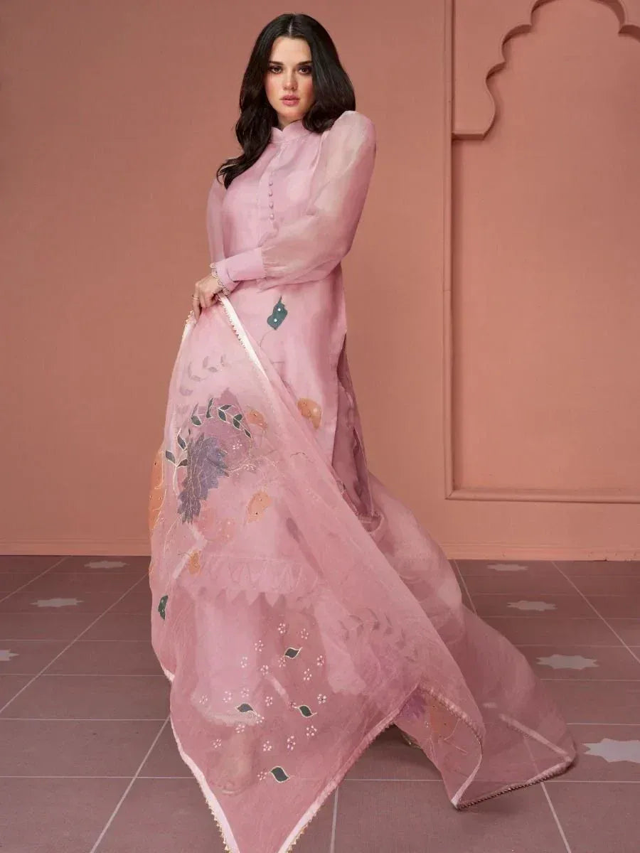 Woman wearing pastel pink embroidered saree in ethnic setting, Indian ethnic wear
