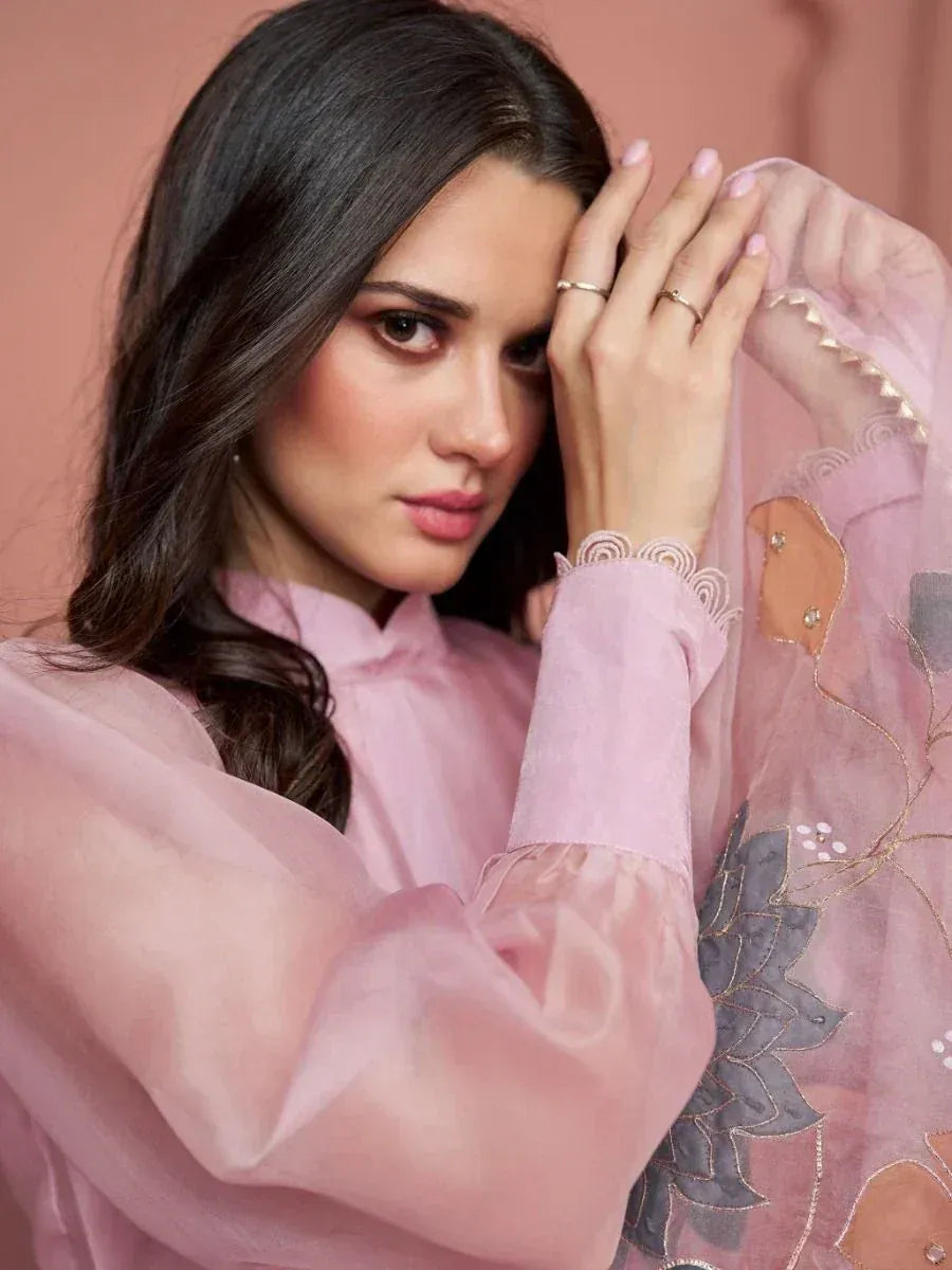 Woman in pink ethnic saree with sheer embroidered sleeve, stylish Indian fashion