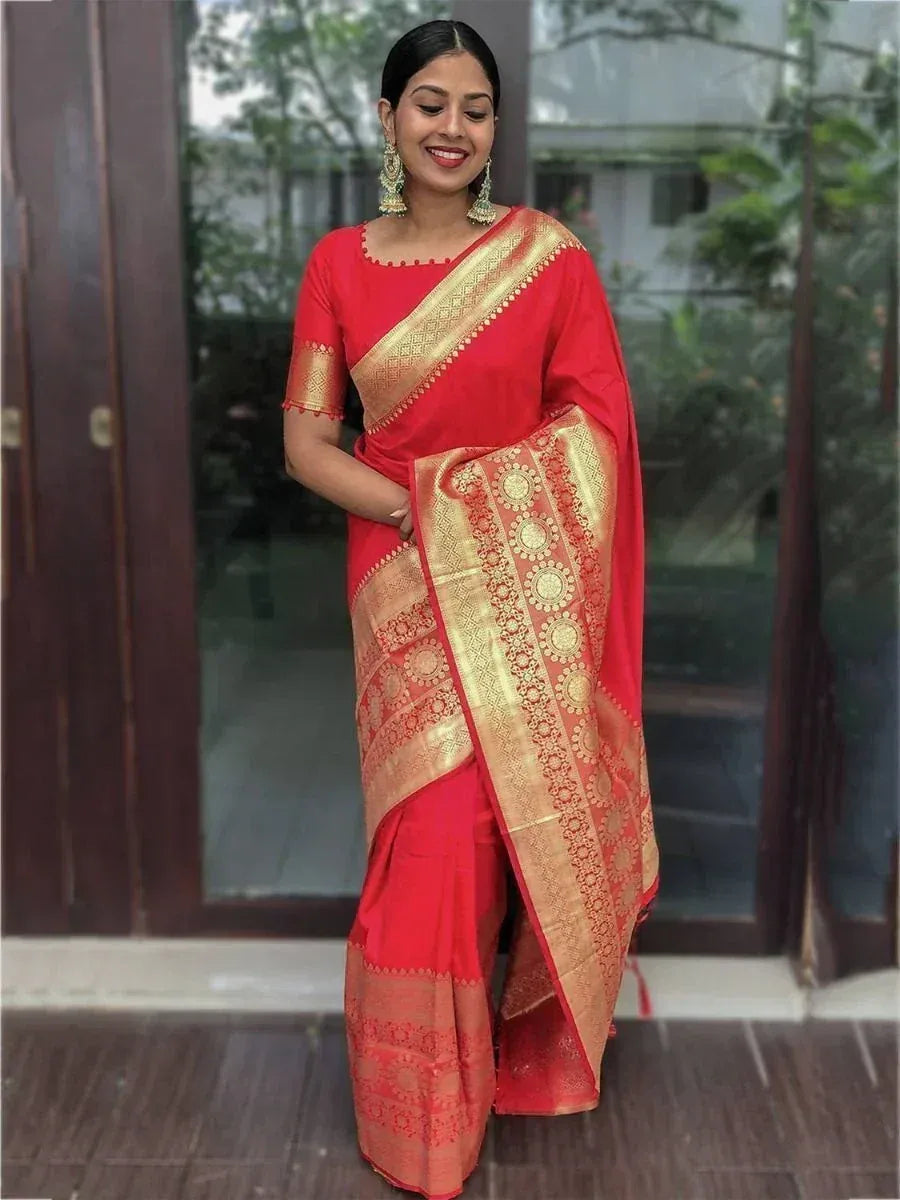 Red silk saree with gold zari border and blouse, traditional Indian ethnic wear for women