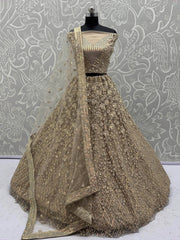Fantastic Beige Net Multi-Thread Work Wedding Lehenga Choli