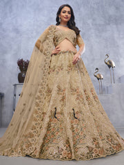 Amazing Beige Embroidered Net Designer Lehenga Choli With Dupatta - Ethnic Plus In