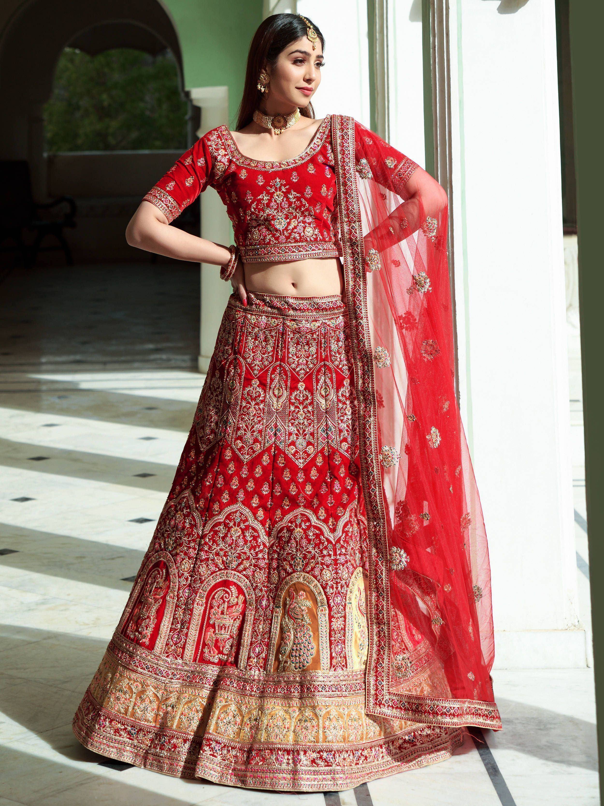 Red embroidered lehenga choli with gold detailing and sheer dupatta, perfect for Indian weddings and festive occasions.
