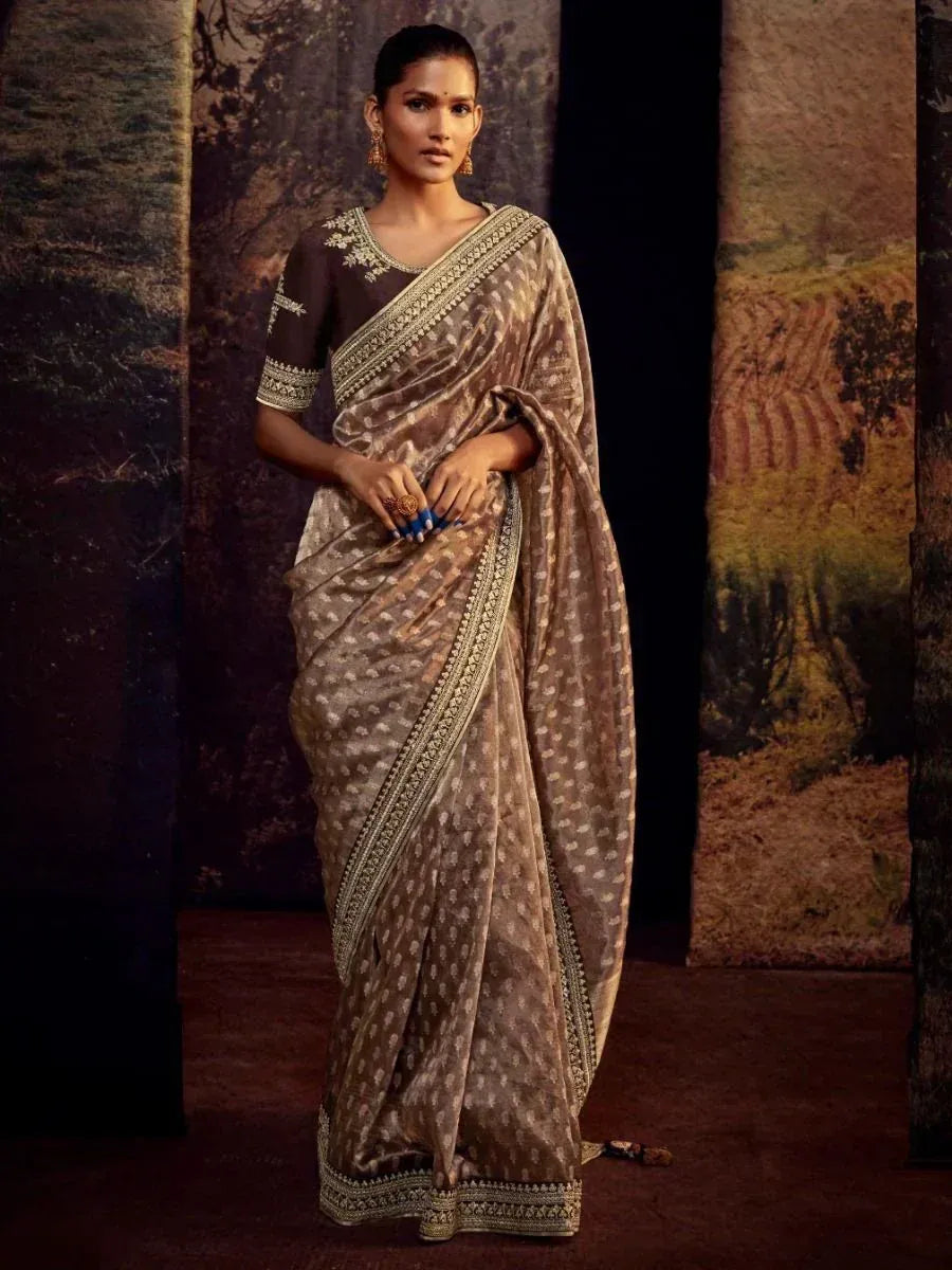 Elegant brown printed saree with gold border and embroidered blouse, perfect for Indian ethnic occasions