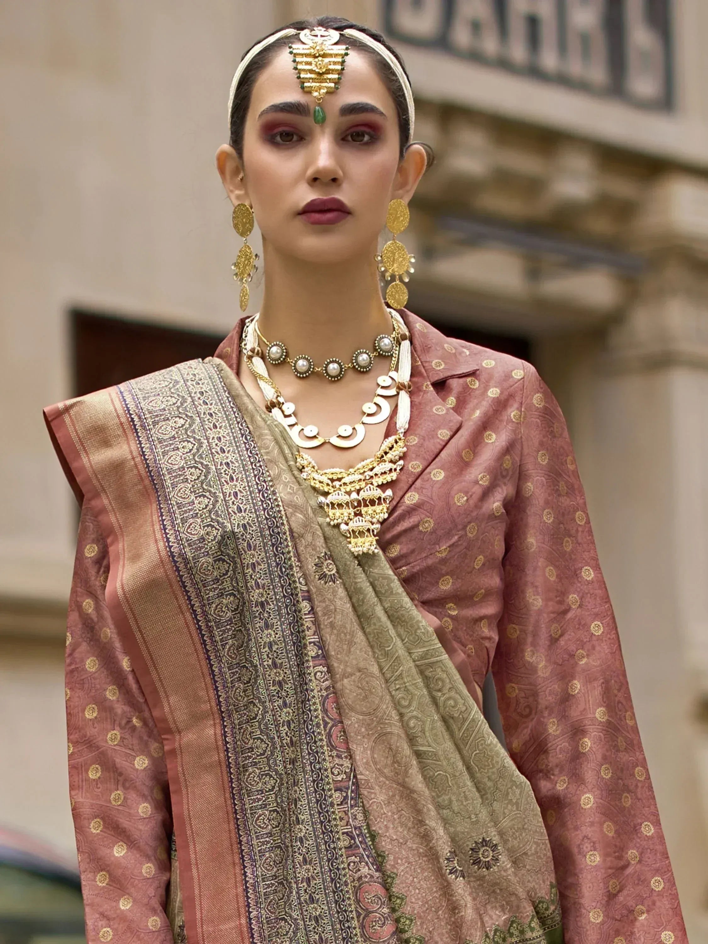 Woman in traditional Indian ethnic wear with intricate gold jewelry and patterned saree blouse