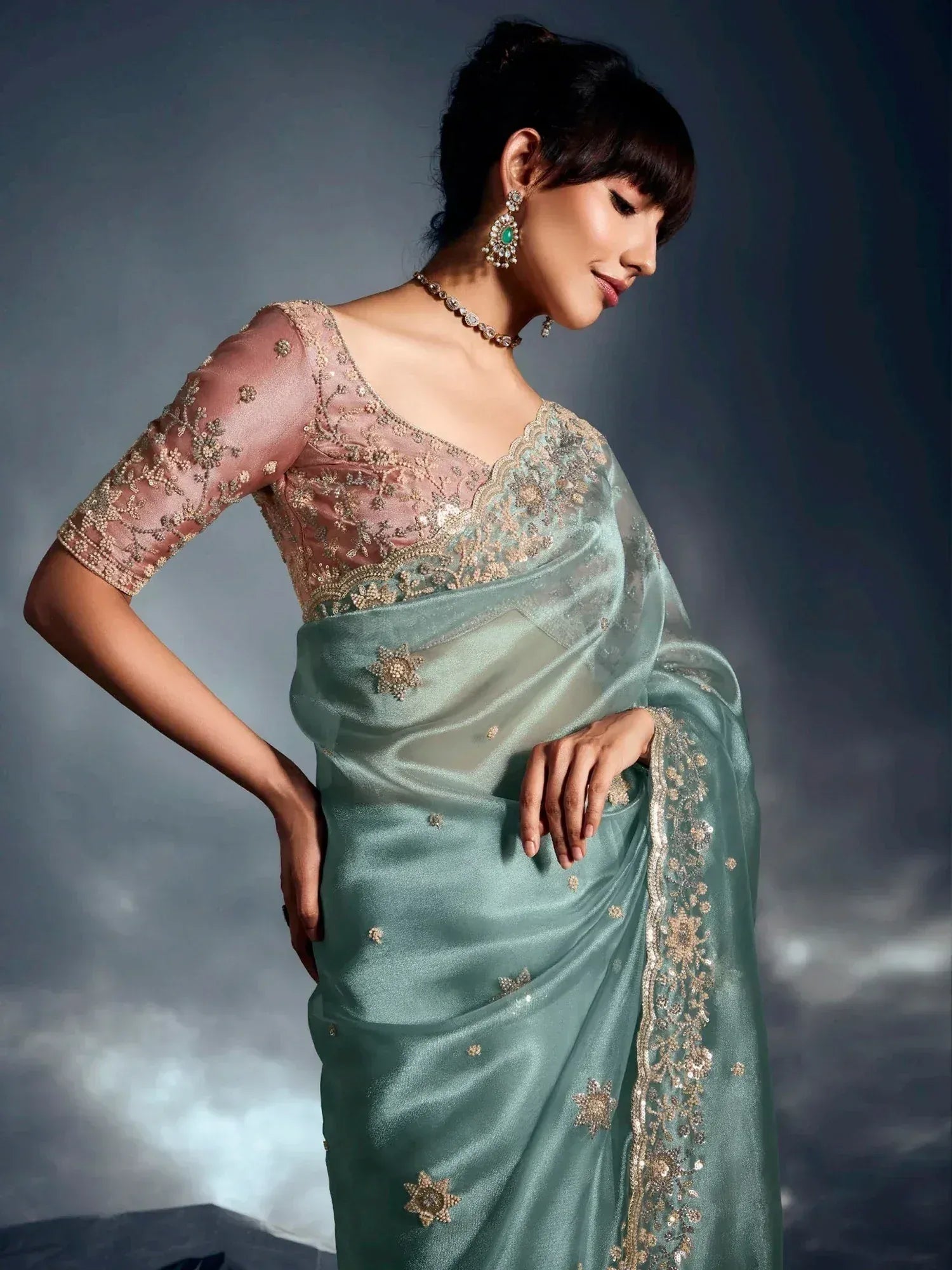 Elegant mint green saree with gold embroidery and sheer pink blouse, perfect for Indian ethnic occasions.
