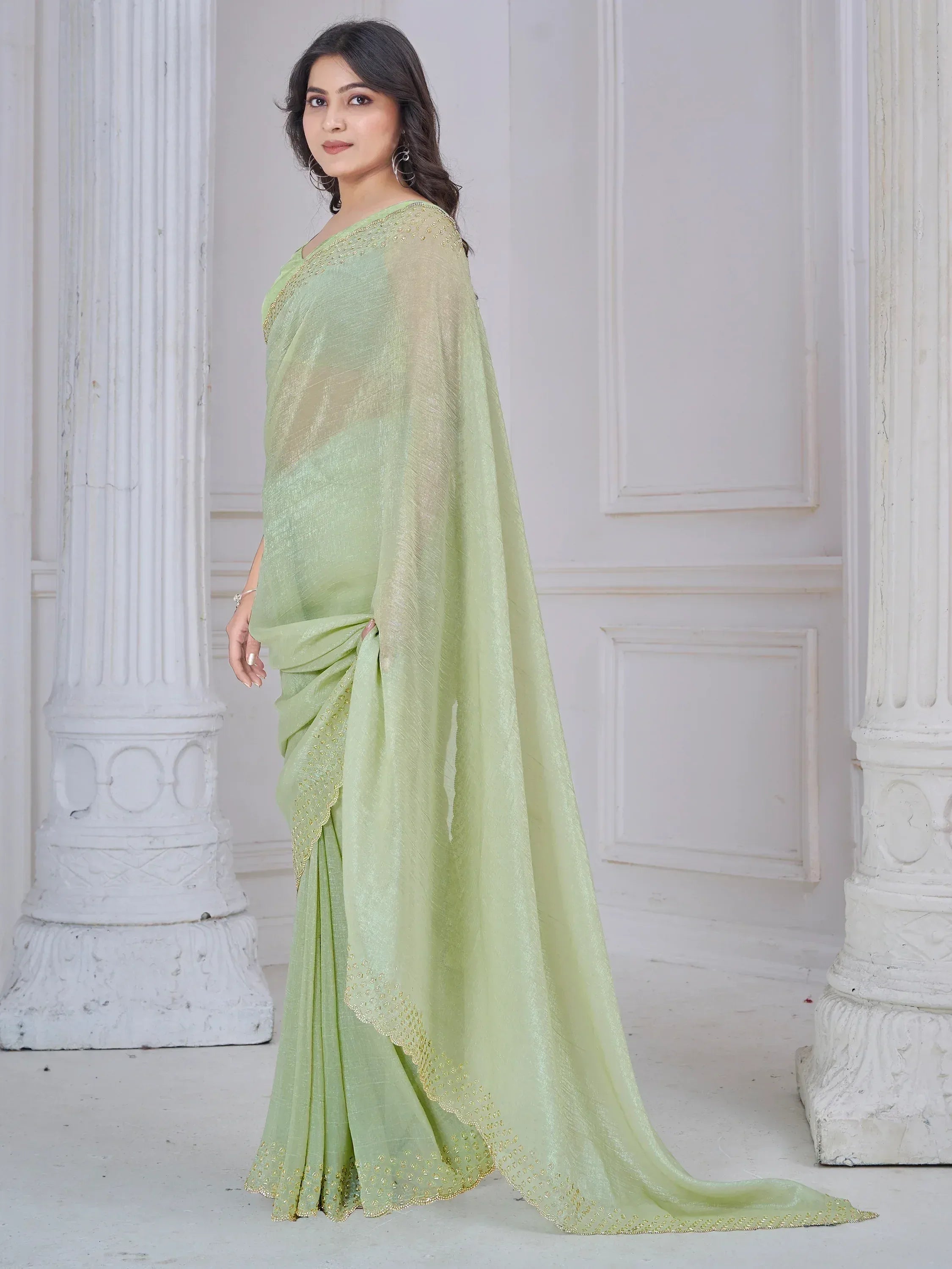 Light green saree with gold embroidery, elegant Indian ethnic wear for women