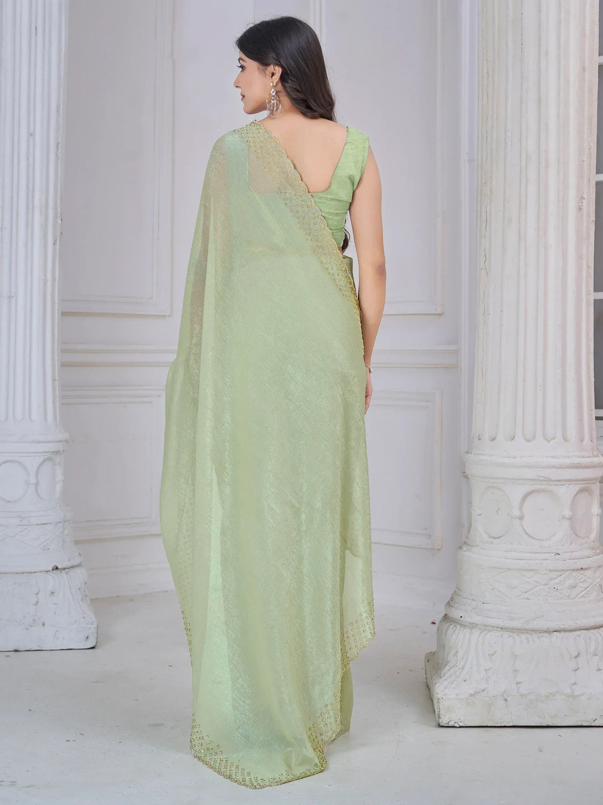 Light green saree with gold embroidery, elegant back view, perfect for Indian ethnic occasions