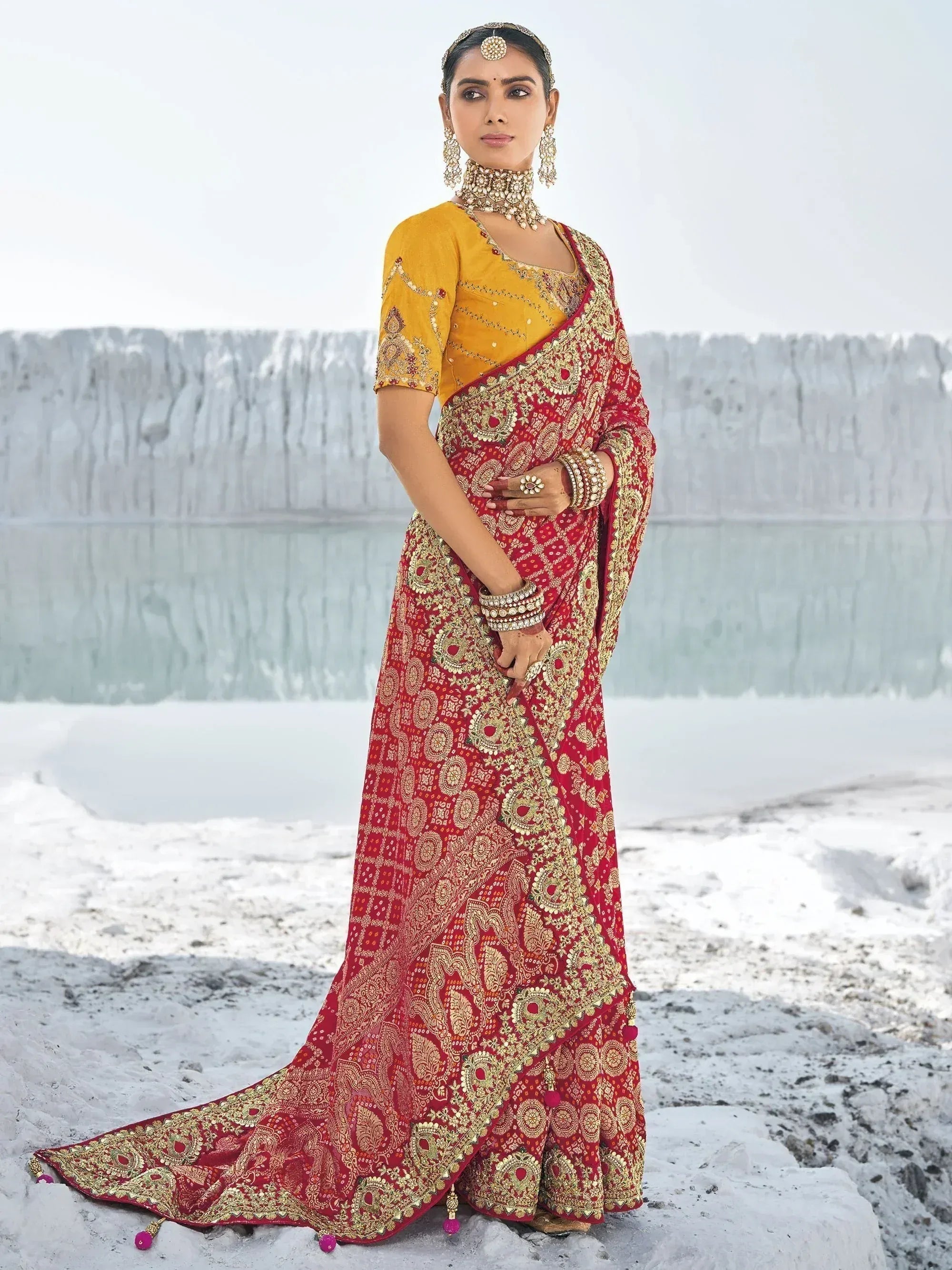 Red and gold embroidered saree with yellow blouse, traditional Indian ethnic wear for weddings and festivals