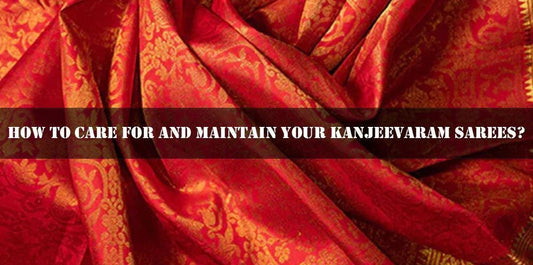 Red Kanjeevaram saree with gold zari work, Ethnic Plus Indian ethnic wear care guide