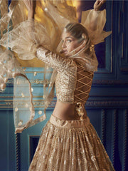 Beige Heavy Sequins Net Wedding Wear Lehenga Choli