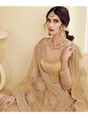 Golden Coding Embroidery Net Bridal Wear Lehenga Choli