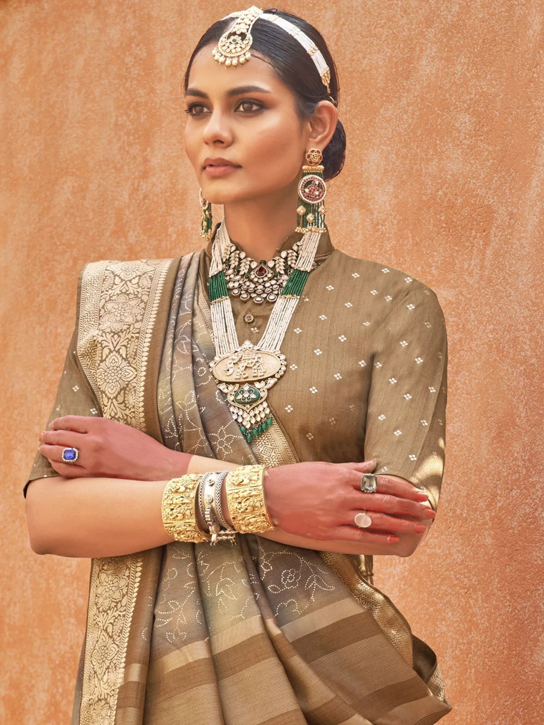 Elegant Indian ethnic wear with designer saree, traditional jewelry, and intricate gold embroidery.