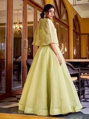 Radiant Pista Green Crushed Crop Top Lehenga With Thread Work Koti