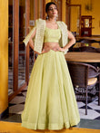 Radiant Pista Green Crushed Crop Top Lehenga With Thread Work Koti