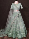Pretty Pista Green Net Floral Embroidered Traditional Lehenga Choli