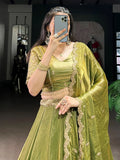 Mesmerizing Green Organza Mehendi Wear Lehenga Choli With Dupatta