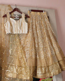 Astonishing Light brown Sequins Embroidered Net Lehenga Choli