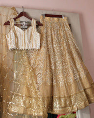 Astonishing Light brown Sequins Embroidered Net Lehenga Choli