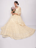 Glamorous Off-White Sequins Embroidery Net Monochrome Lehenga Choli