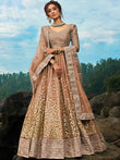 Fabulous Brown Sequins Net Wedding Wear Plus Size Lehenga Choli