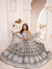 Stunning Grey Thread Embroidered Net Lehenga Choli With Dupatta