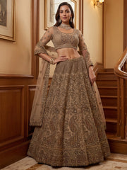 Grand Beige Zari Embroidery Net Sangeet Wear Lehenga Choli With Dupatta