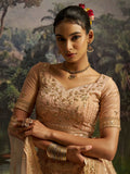 Tantalizing Peach Net Sequins Embroidered Traditional Lehenga Choli