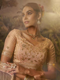 Tantalizing Peach Net Sequins Embroidered Traditional Lehenga Choli