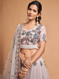 Brilliant Grey Zari Embroidered Net Party Wear Lehenga Choli