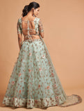 Pista Green Dori Thread Embroidered Net Wedding Lehenga Choli