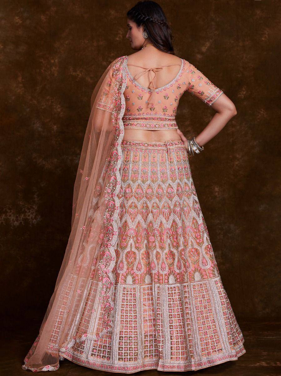 Pink embroidered lehenga choli with sheer dupatta, back view, Indian ethnic wear