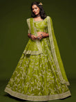 Glamorous Green Embroidered Silk Designer Plus Size Lehenga Choli