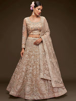 Sparkling Beige Embroidered Net Engagement Wear Plus Size Lehenga Choli
