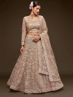 Sparkling Beige Embroidered Net Engagament Wear Plus Size Lehenga Choli