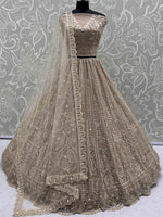 Elegant Brown Dori Work Net Reception Wear Lehenga Choli With Dupatta