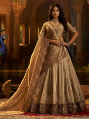 Charming Brown Sequins Organza Wedding Wear Lehenga Choli