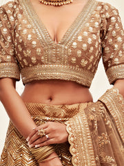 Brown Sequins Embroidered Slub Silk Bridal Wear Lehenga Choli