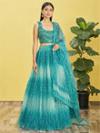 Beautiful Blue Mirror Work Organza Wedding Wear Lehenga Choli