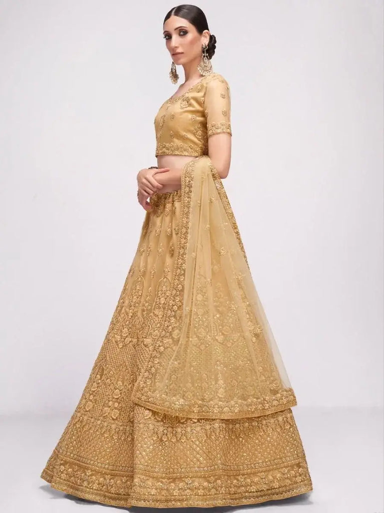 Prominent Light Brown Sequined Net Monochrome Lehenga Choli