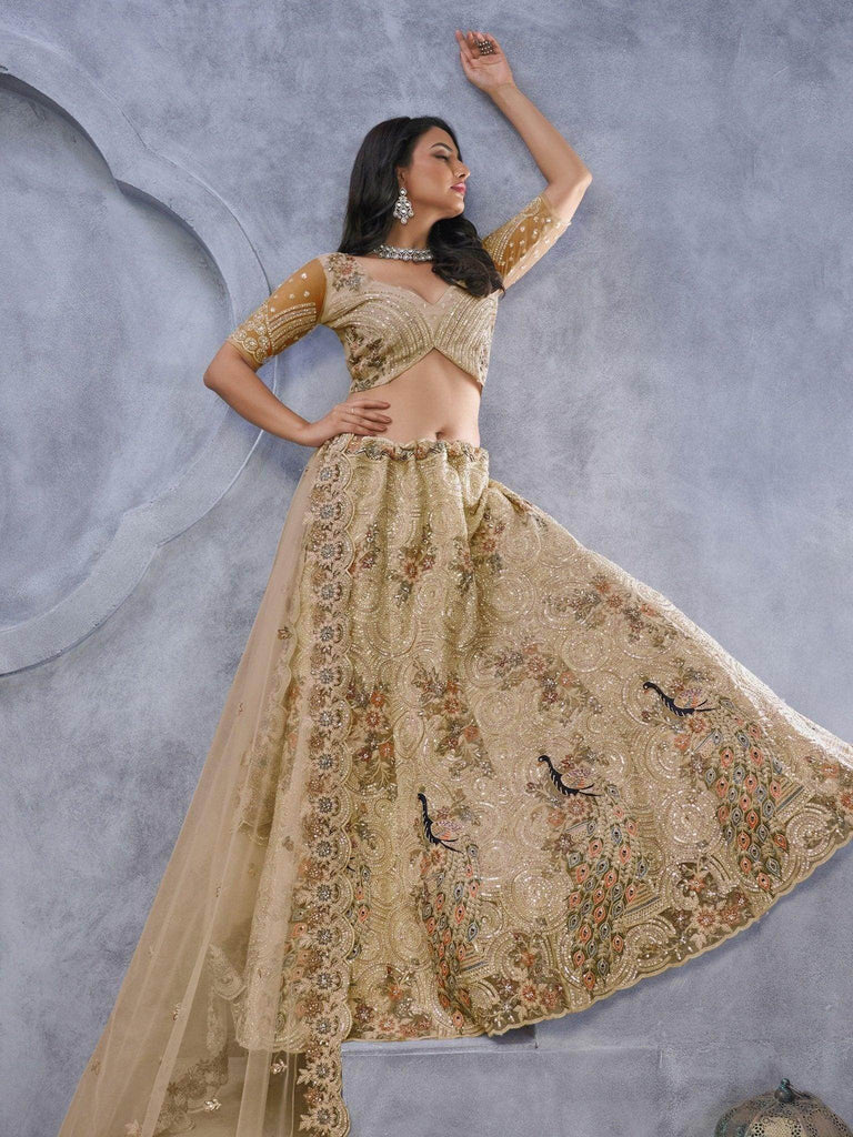 Amazing Beige Embroidered Net Designer Lehenga Choli With Dupatta - Ethnic Plus In