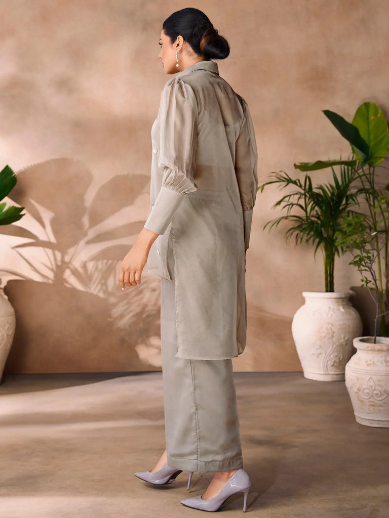 Adorable Grey Hand Work Organza Party Wear Co-Ord Set