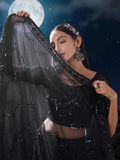 Gorgeous Black Sequins Net Reception Wear Lehenga Choli With Dupatta