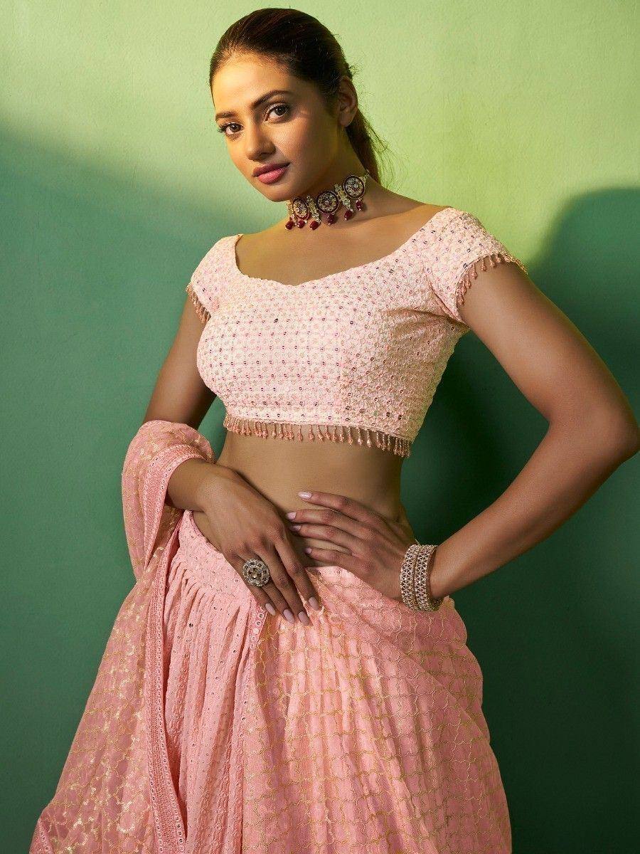 Pink embroidered lehenga choli with mirror work and tassels, styled with traditional jewelry