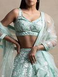 Attractive Blue Sequins Net Designer Lehenga Choli With Dupatta - Ethnic Plus In