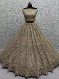 Attractive Golden Zircon Work Net Wedding Lehenga Choli With Dupatta - Ethnic Plus In