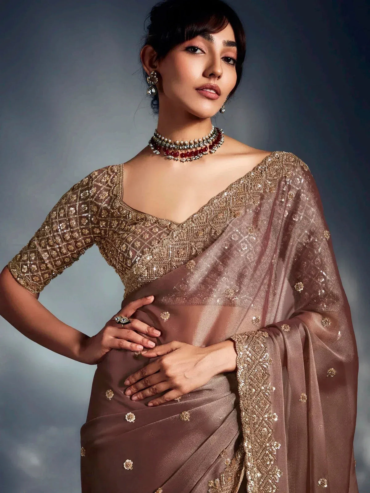 Elegant brown saree with gold embroidery and matching blouse, styled with traditional jewelry