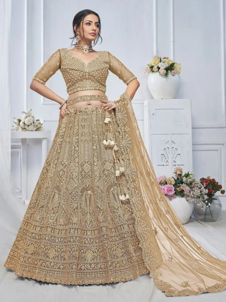 Captivating Brown Embroidered Net Lehenga Choli With Dupatta - Ethnic Plus In