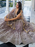 Dazzling Brown Embroidered Net Engagement Wear Lehenga Choli - Ethnic Plus In