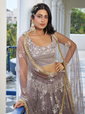 Dazzling Brown Embroidered Net Engagement Wear Lehenga Choli - Ethnic Plus In